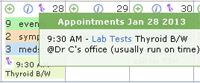 Appointment Detail Window