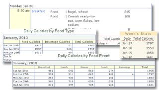 Daily Food Journal, Calorie Reports